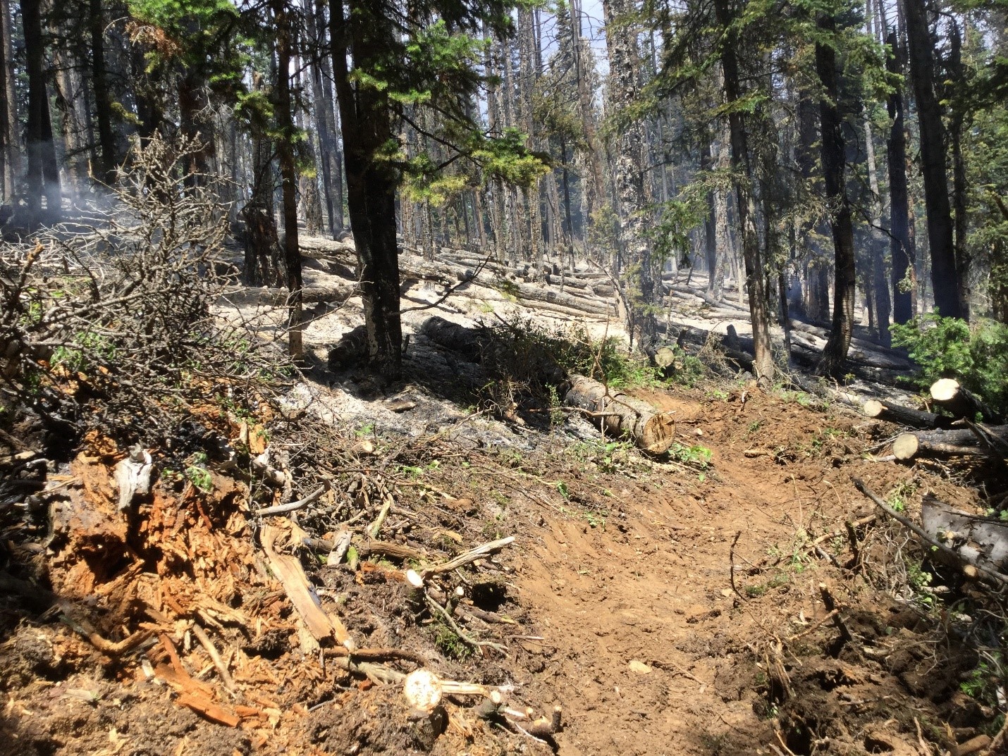 New Fires Spotted in Bighorns | Big Horn Basin Media