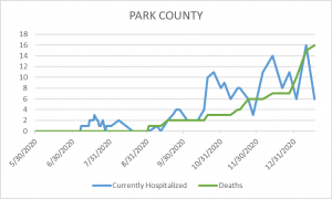 COVID-19 Cases and Deaths in Park County (1/24)