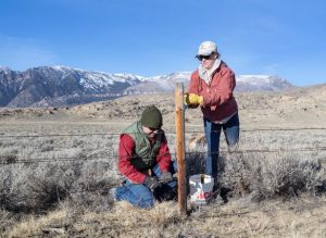 Absaroka Fence Initiative replacement.