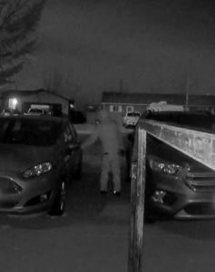 Cody Auto Burglary Suspects