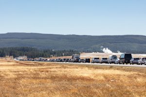 Yellowstone vehicle traffic