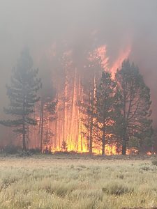 Bootleg Fire in Oregon
