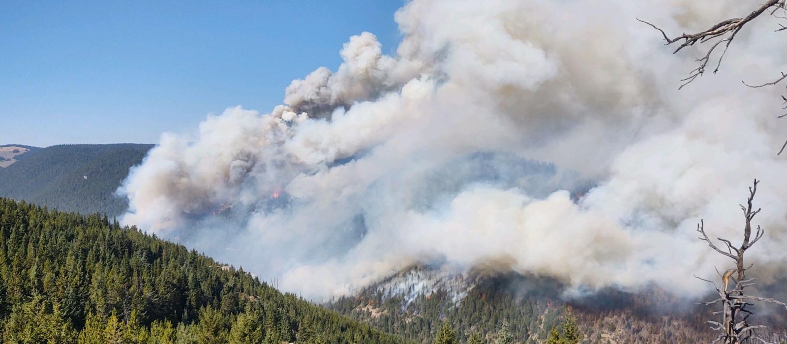 Yellowstone Fire: 5 Interesting Facts About Wildfire in Yellowstone ...