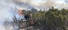 BLM West Slope Bighorn sPrescribed Fire March 2021