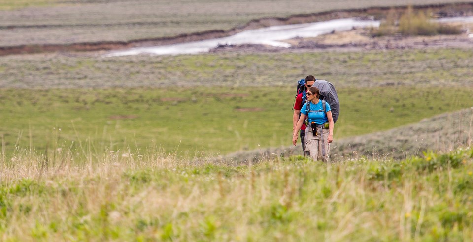 Backpackers in Lamar Valley Yellowstone--maybe they're looking for Yellowstone reptiles on our list?