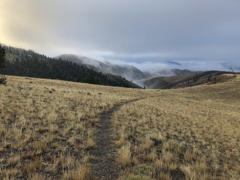 A trail winds through grassland back into the mountains and would be a great fit on our list of Yellowstone hiking trails