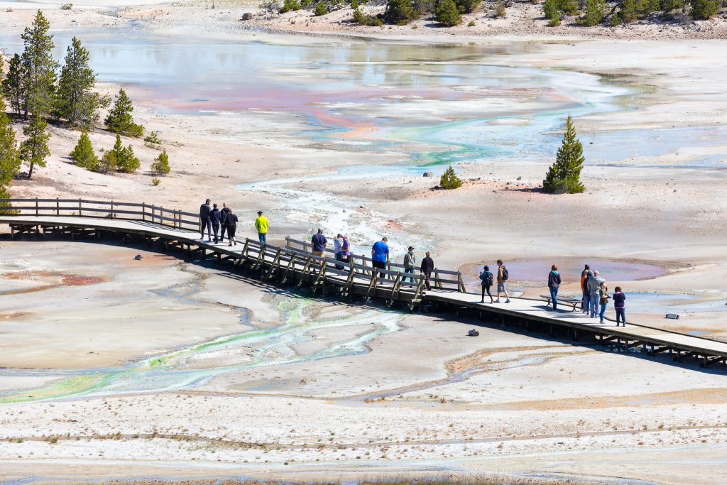People walk along a boardwalk in a thermal area as they see Yellowstone with kids