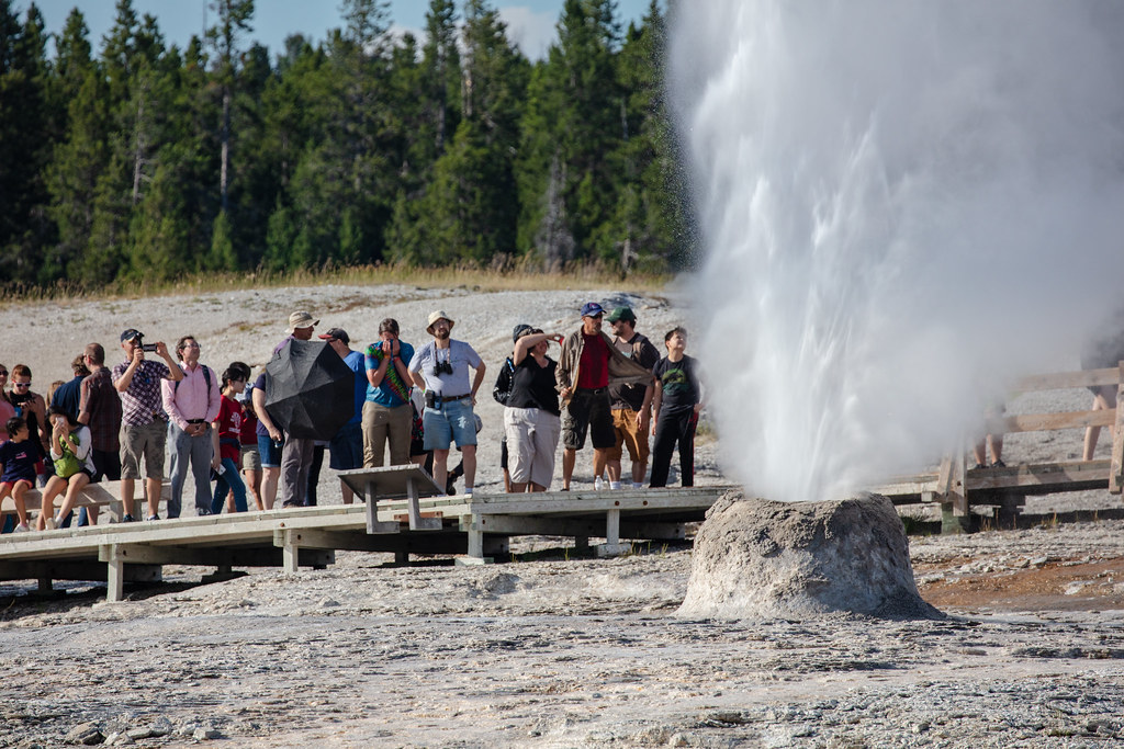 Crowd watches geyser erupt in Yellowstone -- before you visit, make sure you know the rules for having pets in Yellowstone