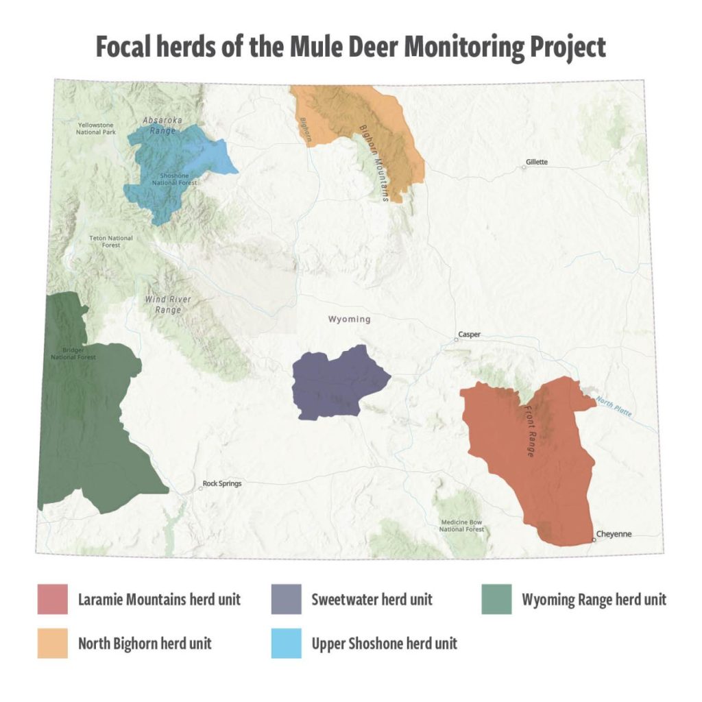 Wyoming Game and Fish Begins Mule Deer Monitoring Project