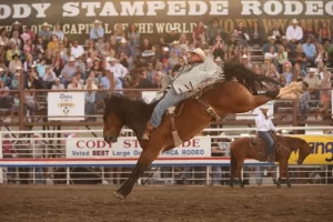 Cody Nite Rodeo USA Today