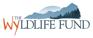 Wyldlife Fund logo