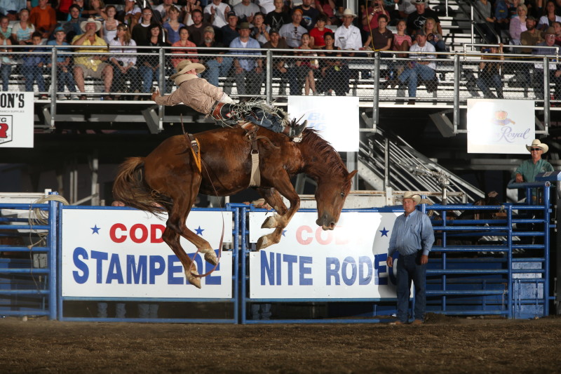 Rider at Cody Nite Rodeo