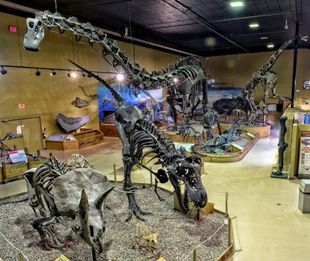 Dinosaur hall at the Wyoming Dinosaur Center