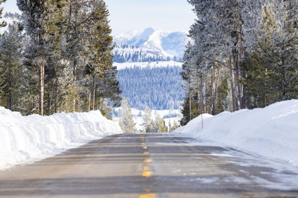 Snow banks along Yellowstone NP road corridor