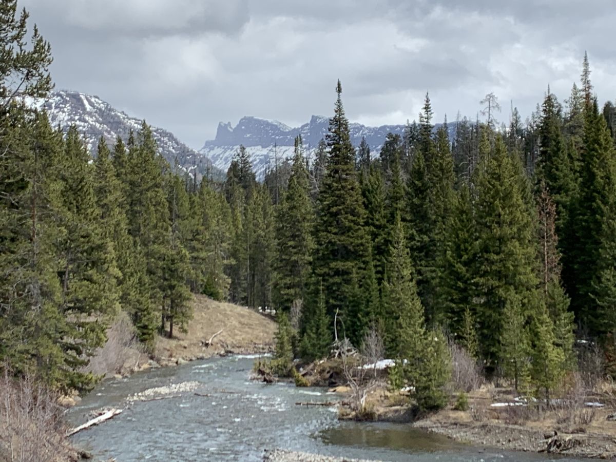 Wyoming Wilderness Areas: A Guide to the 5 Wilderness Areas Near 