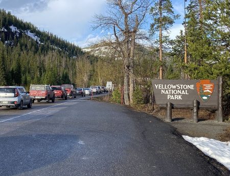Vehicle line up Yellowstone East Entrance