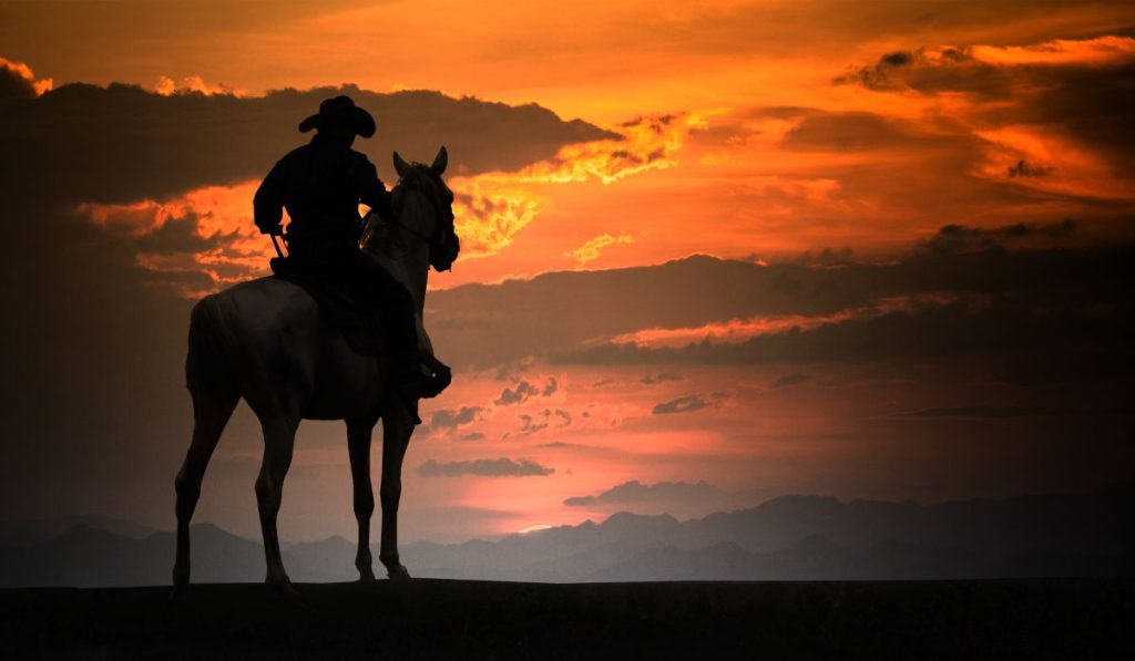 Silhouette of Cowboy on Horseback
