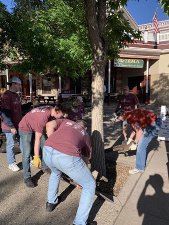 Cody Cares Crew clearing tree wells on Sheridan Avenue
