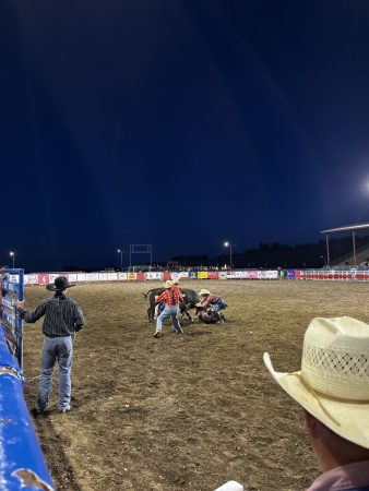 Bullfighters at Cody Nite Rodeo