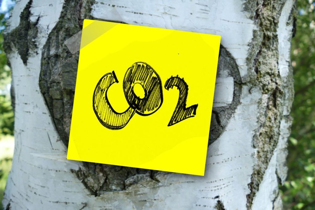 CO2 sign on aspen tree