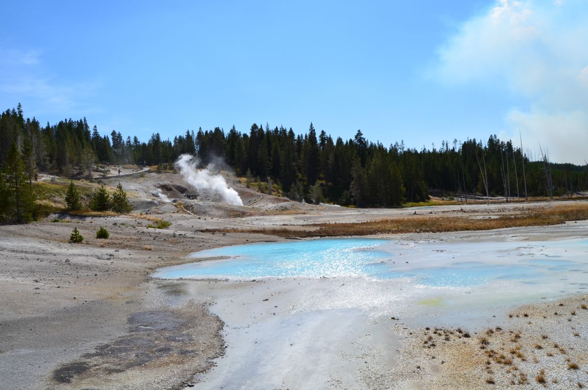 Caught on Camera: Yellowstone Tourists Continue to Ignore Park Rules ...