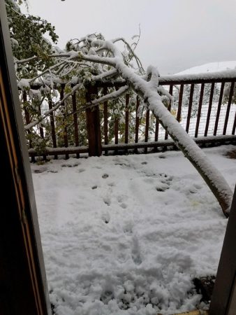 Snow-In-Wapiti