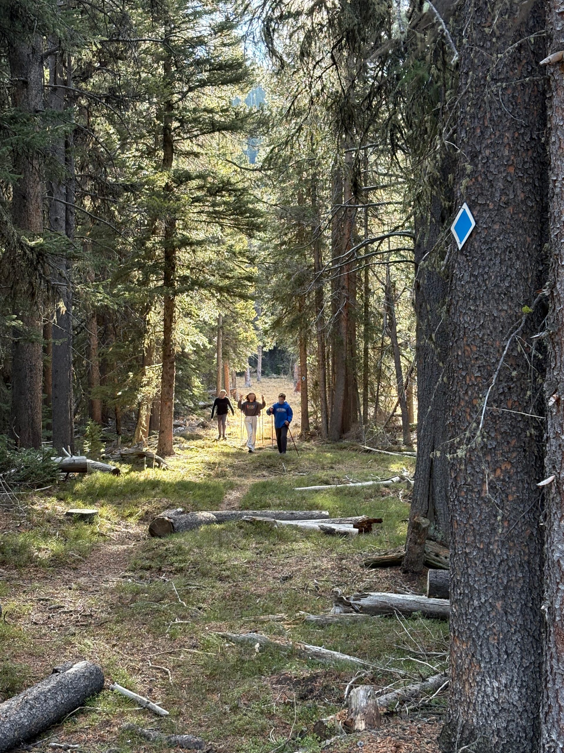 Bighorn National Forest temporarily closes Cutler Nordic Ski trails for safety during trail improvements